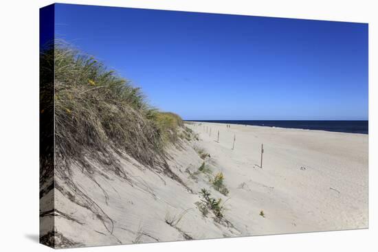 Nauset Light Beach, Cape Cod National Seashore, Orleans, Cape Cod, Massachusetts, New England, Usa-Wendy Connett-Stretched Canvas