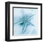 Nautica I-Alan Blaustein-Framed Art Print