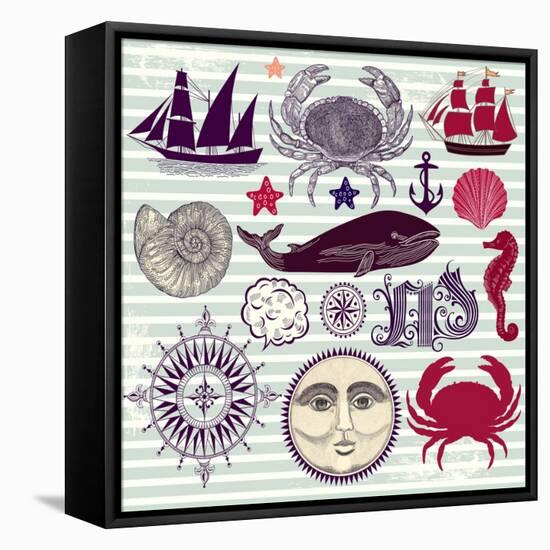 Nautical And Sea Symbols-Molesko Studio-Framed Stretched Canvas