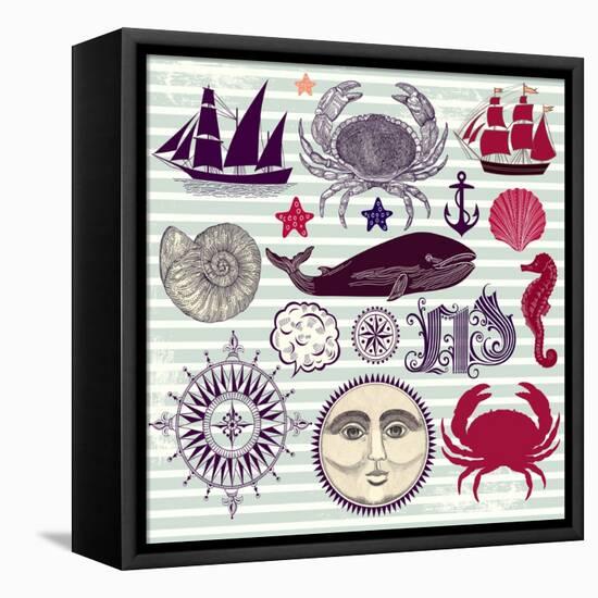 Nautical And Sea Symbols-Molesko Studio-Framed Stretched Canvas