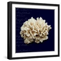 Nautical Blue Coral-Julie Greenwood-Framed Premium Giclee Print