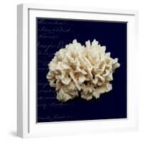 Nautical Blue Coral-Julie Greenwood-Framed Premium Giclee Print