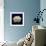 Nautical Blue Coral-Julie Greenwood-Framed Premium Giclee Print displayed on a wall