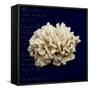 Nautical Blue Coral-Julie Greenwood-Framed Stretched Canvas