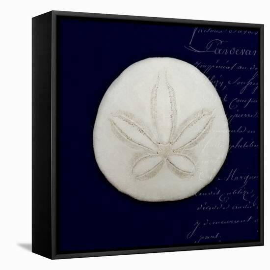 Nautical Blue Sand Dollar-Julie Greenwood-Framed Stretched Canvas