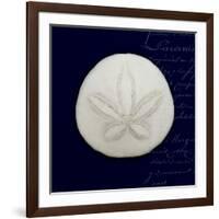 Nautical Blue Sand Dollar-Julie Greenwood-Framed Art Print