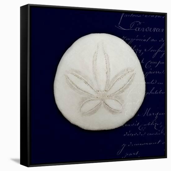 Nautical Blue Sand Dollar-Julie Greenwood-Framed Stretched Canvas