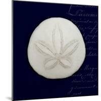 Nautical Blue Sand Dollar-Julie Greenwood-Mounted Premium Giclee Print