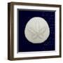 Nautical Blue Sand Dollar-Julie Greenwood-Framed Art Print