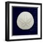 Nautical Blue Sand Dollar-Julie Greenwood-Framed Art Print