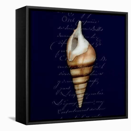 Nautical Blue Shell-Julie Greenwood-Framed Stretched Canvas