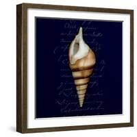 Nautical Blue Shell-Julie Greenwood-Framed Premium Giclee Print