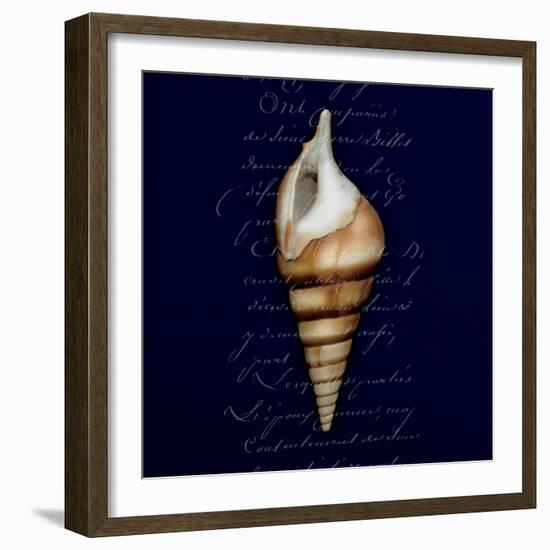 Nautical Blue Shell-Julie Greenwood-Framed Premium Giclee Print