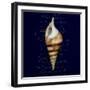 Nautical Blue Shell-Julie Greenwood-Framed Premium Giclee Print