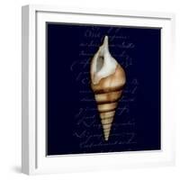 Nautical Blue Shell-Julie Greenwood-Framed Premium Giclee Print