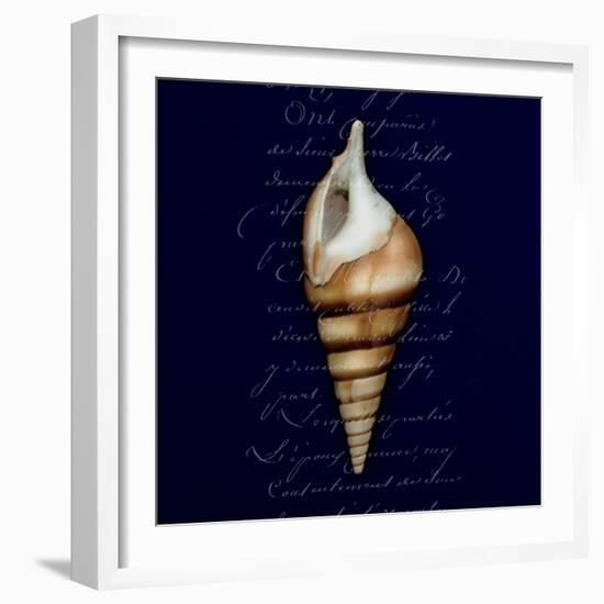 Nautical Blue Shell-Julie Greenwood-Framed Premium Giclee Print