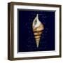 Nautical Blue Shell-Julie Greenwood-Framed Art Print