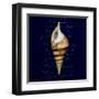 Nautical Blue Shell-Julie Greenwood-Framed Art Print