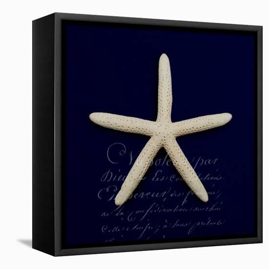 Nautical Blue Starfish-Julie Greenwood-Framed Stretched Canvas