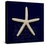 Nautical Blue Starfish-Julie Greenwood-Stretched Canvas