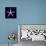 Nautical Blue Starfish-Julie Greenwood-Premium Giclee Print displayed on a wall