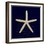 Nautical Blue Starfish-Julie Greenwood-Framed Premium Giclee Print