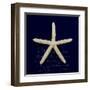 Nautical Blue Starfish-Julie Greenwood-Framed Art Print