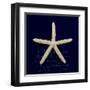 Nautical Blue Starfish-Julie Greenwood-Framed Art Print