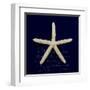 Nautical Blue Starfish-Julie Greenwood-Framed Art Print