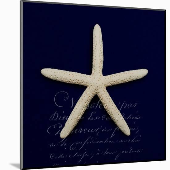 Nautical Blue Starfish-Julie Greenwood-Mounted Art Print