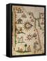 Nautical Chart of Northern Africa with Depiction of Animals and Wind Rose-Pietro Giovanni Prunus-Framed Stretched Canvas