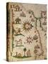 Nautical Chart of Northern Africa with Depiction of Animals and Wind Rose-Pietro Giovanni Prunus-Stretched Canvas