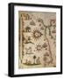 Nautical Chart of Northern Africa with Depiction of Animals and Wind Rose-Pietro Giovanni Prunus-Framed Giclee Print