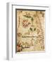 Nautical Chart of Northern Africa with Depiction of Animals-Pietro Giovanni Prunus-Framed Giclee Print