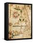 Nautical Chart of Northern Africa with Depiction of Animals-Pietro Giovanni Prunus-Framed Stretched Canvas