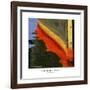 Nautical Closeups 12-Carlos Casamayor-Framed Giclee Print