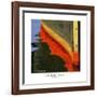 Nautical Closeups 12-Carlos Casamayor-Framed Giclee Print