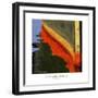 Nautical Closeups 12-Carlos Casamayor-Framed Premium Giclee Print