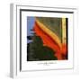 Nautical Closeups 12-Carlos Casamayor-Framed Premium Giclee Print