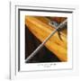 Nautical Closeups 1-Carlos Casamayor-Framed Giclee Print