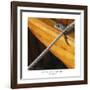 Nautical Closeups 1-Carlos Casamayor-Framed Giclee Print