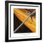 Nautical Closeups 1-Carlos Casamayor-Framed Giclee Print