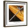 Nautical Closeups 1-Carlos Casamayor-Framed Giclee Print