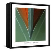 Nautical Closeups 21-Carlos Casamayor-Framed Stretched Canvas