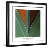 Nautical Closeups 21-Carlos Casamayor-Framed Giclee Print