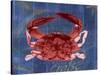 Nautical Crab 1-Albert Koetsier-Stretched Canvas