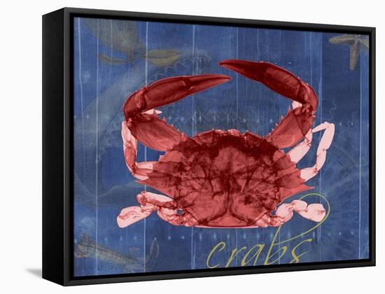 Nautical Crab 1-Albert Koetsier-Framed Stretched Canvas