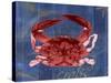 Nautical Crab 1-Albert Koetsier-Stretched Canvas