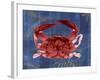 Nautical Crab 1-Albert Koetsier-Framed Art Print