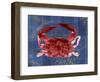 Nautical Crab 1-Albert Koetsier-Framed Premium Giclee Print